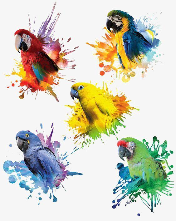 De Hobby Planeet Animals Diamond Painting Kit DPHP00868