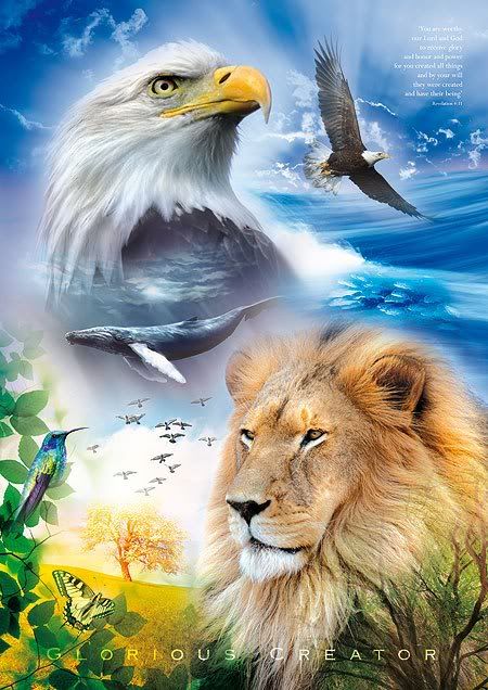 De Hobby Planeet Animals Diamond Painting Kit DPHP00872