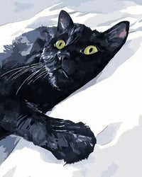 Thumbnail for Schilderen op Nummer Katten PBN500