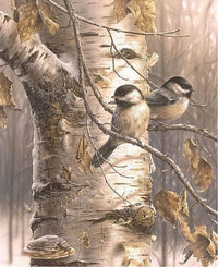 Thumbnail for Schilderen op Nummer Vogels PBN911